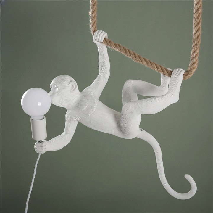 IMG_suspension-singe-a-led-suspendu-a-l-envers-a-une-corde-2