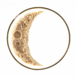 A half-moon-shaped wall sconce is set against a white background.