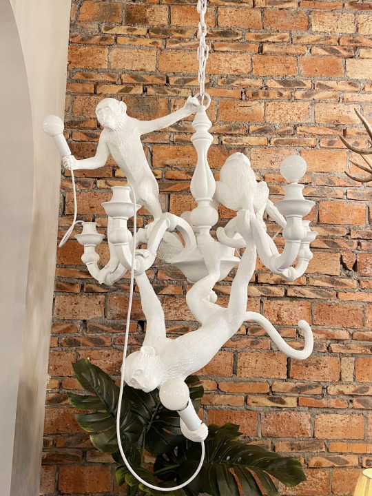 Monkeys hanging 3 animals on the chandelier