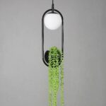 Ceiling lamp, suspended with a white ball at the top and a black ball at the bottom, in which is a fake green plant. The two balls are surrounded by a black stem that connects them. On a gray background.