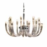 Transparent chandelier with upward-curving glass branches. At the end of each branch, inside, is a light bulb. On a white background.